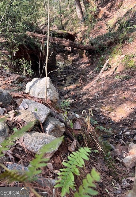 106 Fernbanks Court Athens - Photo 30