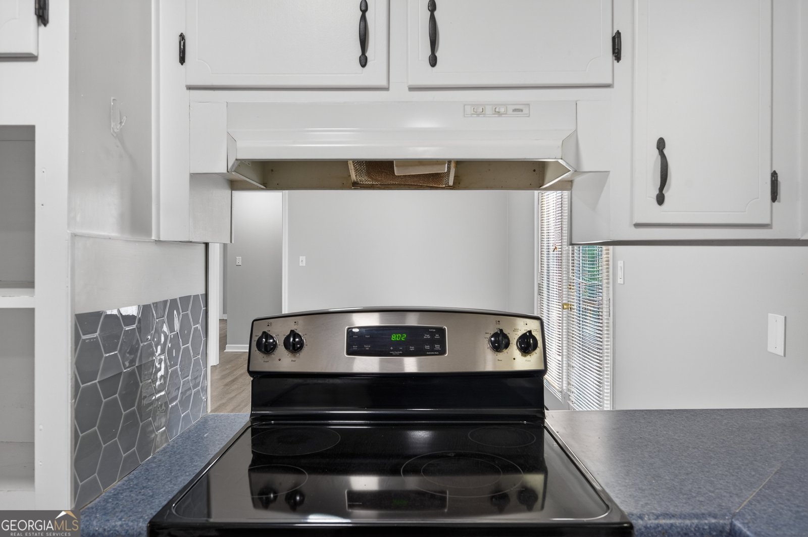 4031 Chestnut Drive Flowery Branch - Photo 12