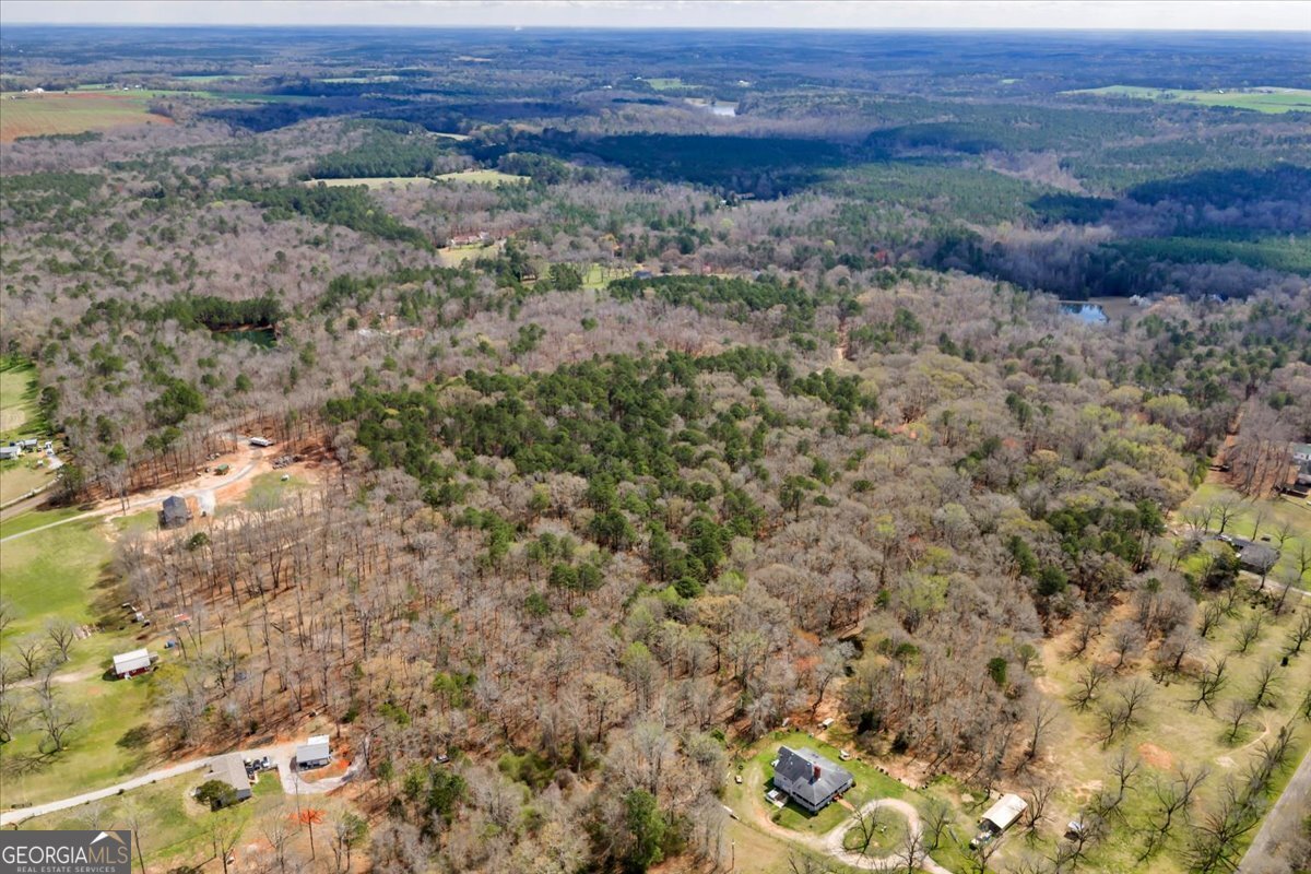 336 Means Road Barnesville - Photo 58