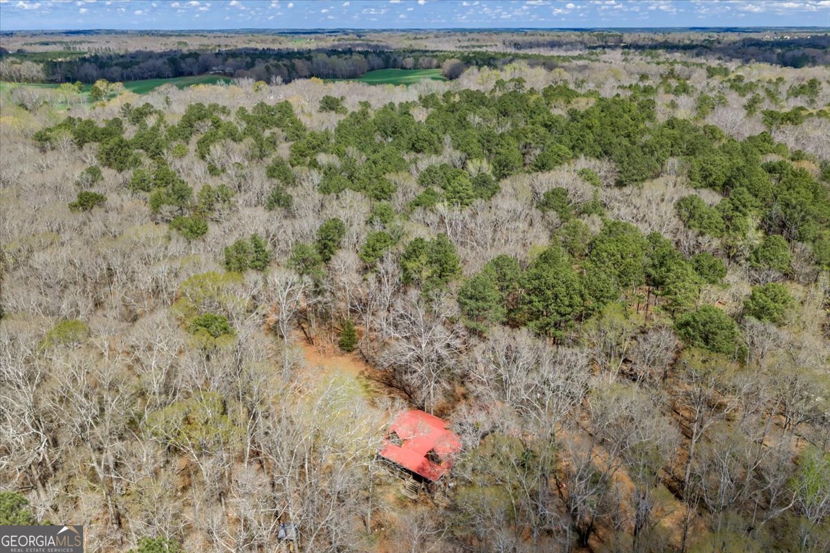 336 Means Road Barnesville - Photo 59