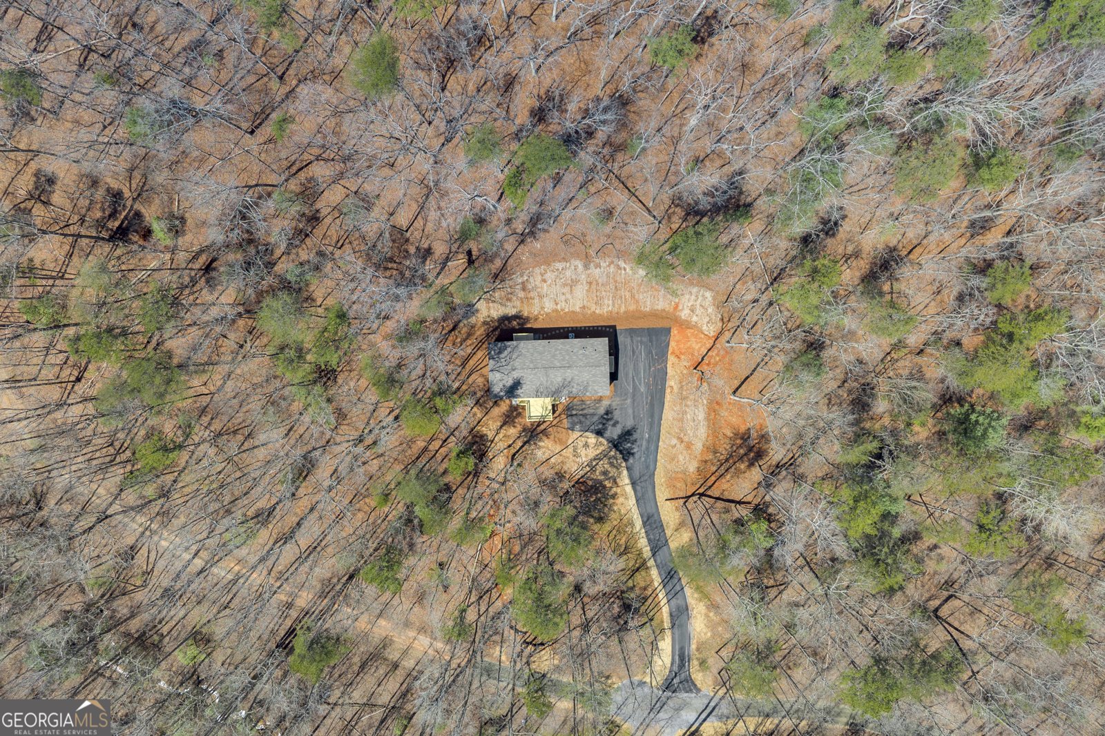 136 Poplar Drive Dawsonville - Photo 49