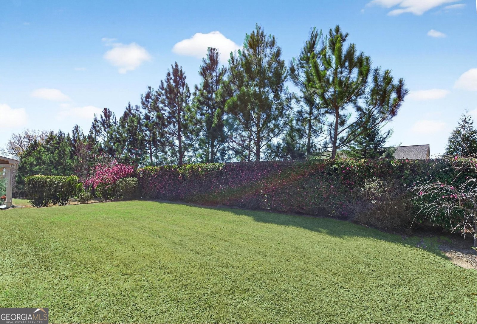 112 Mulberry Court Peachtree City - Photo 36