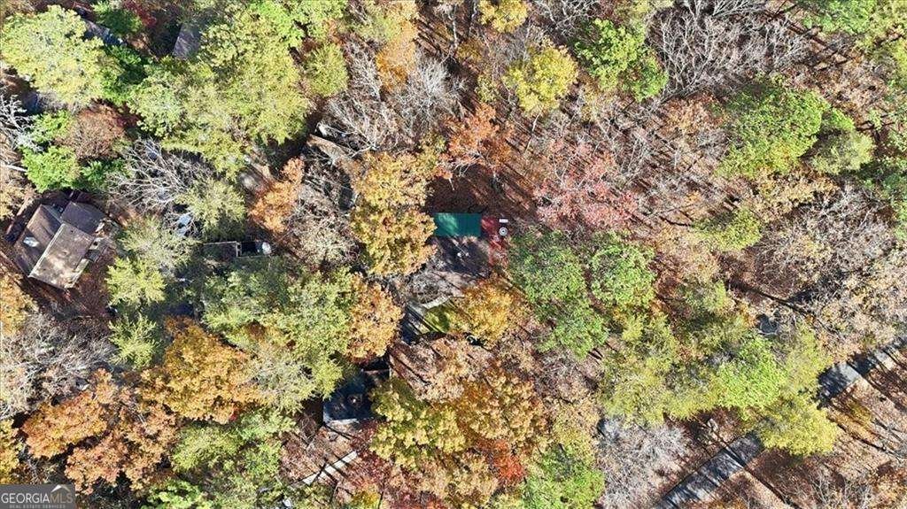 106 Lake Cottages Court Waleska - Photo 33