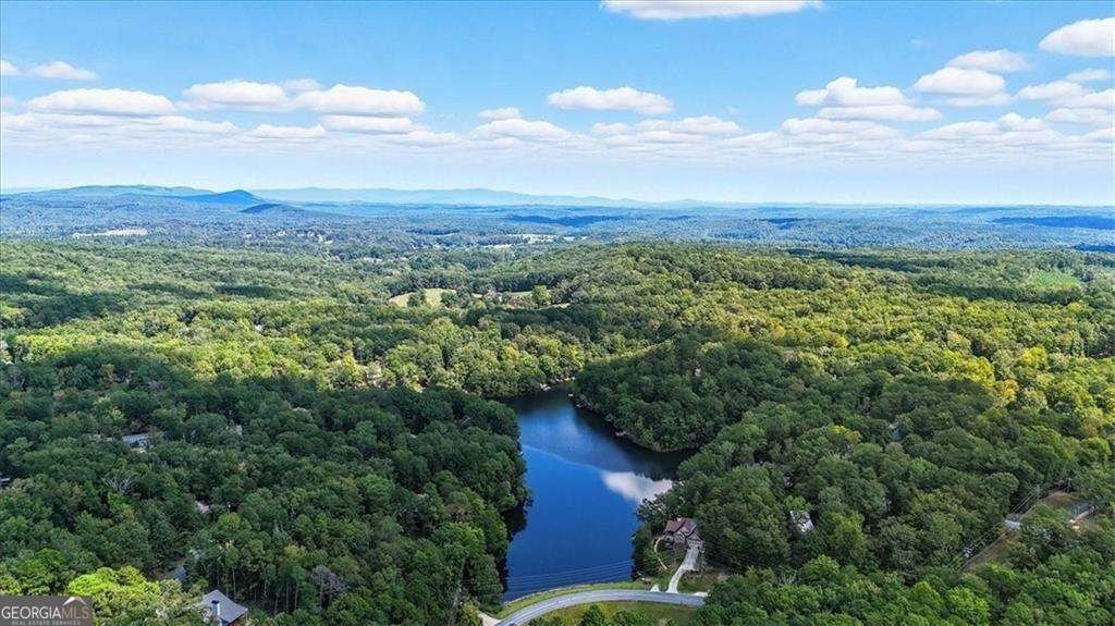 106 Lake Cottages Court Waleska - Photo 40