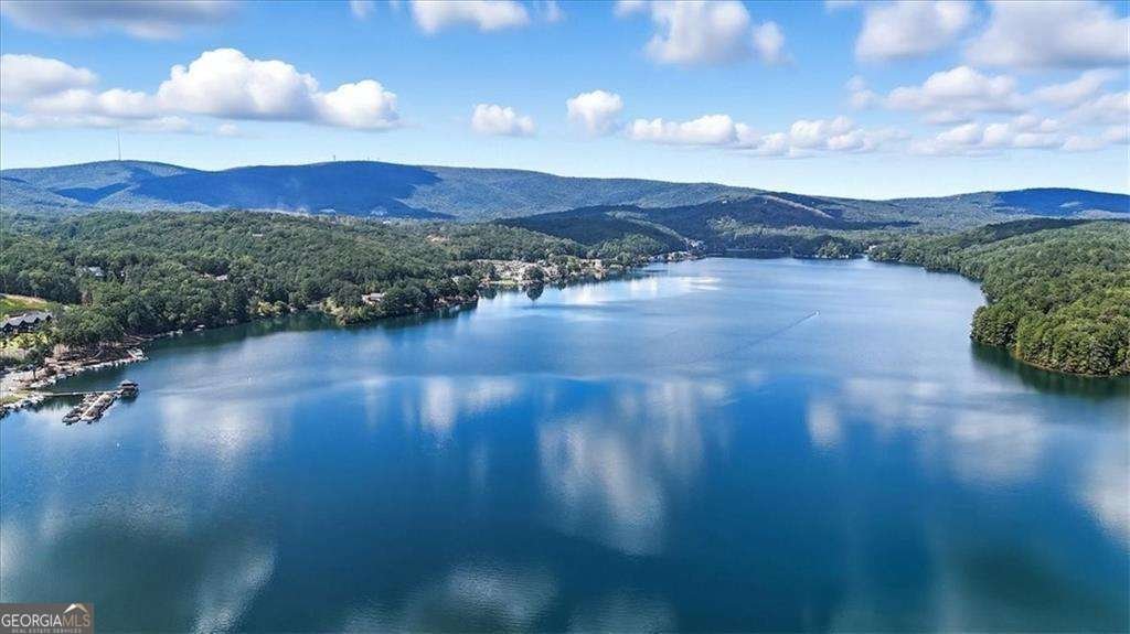 106 Lake Cottages Court Waleska - Photo 50