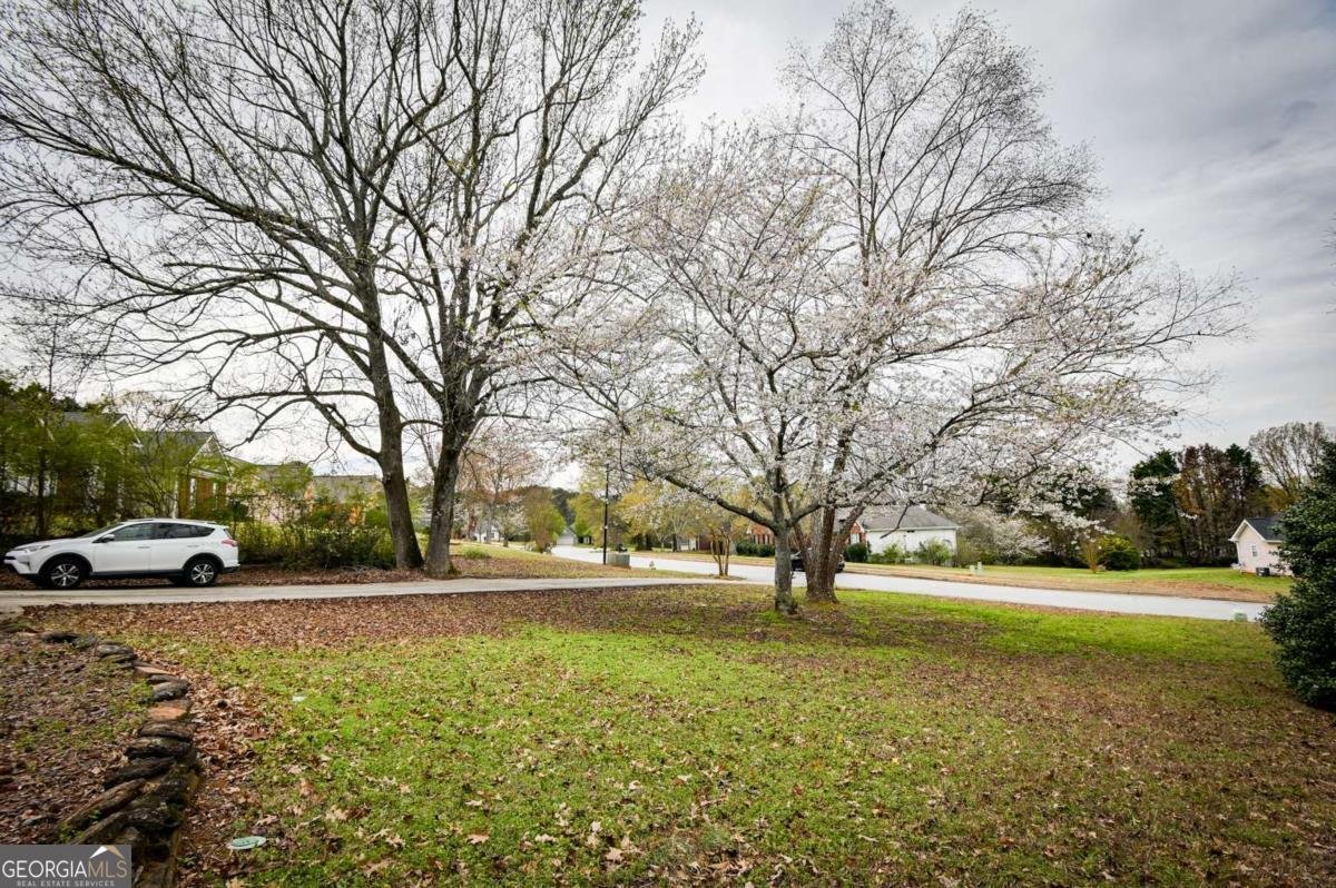 4544 Wentworth Place Conyers - Photo 39