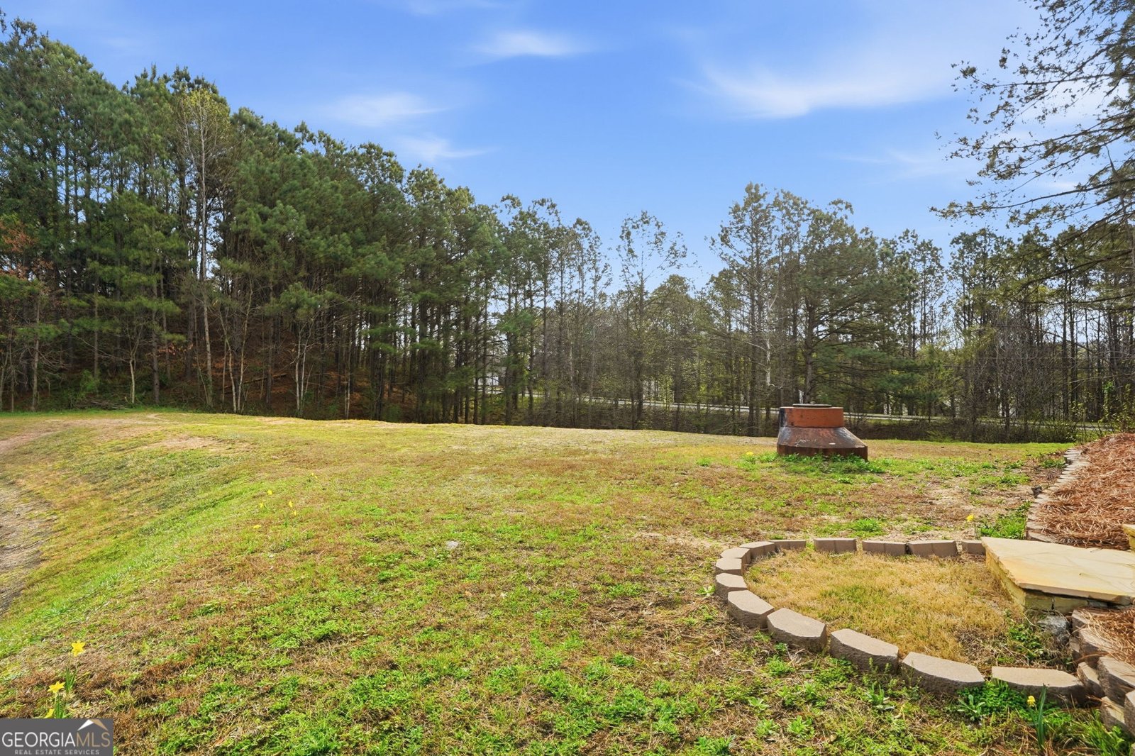 349 Nobleman Way Canton - Photo 48