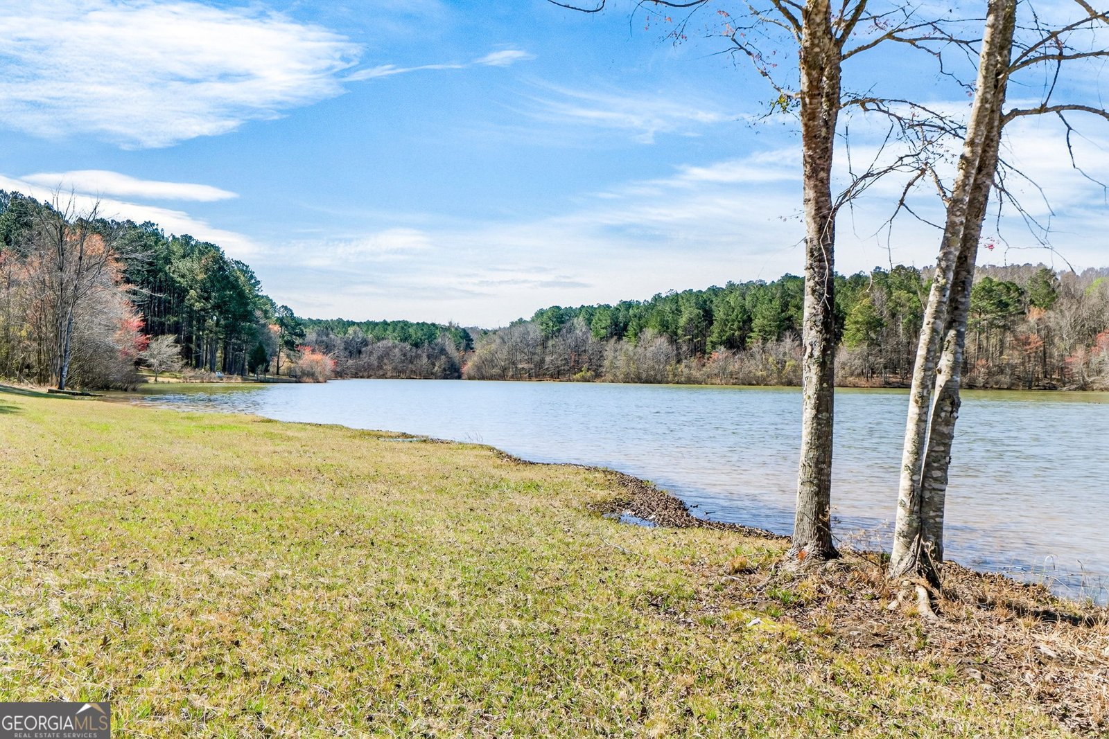 280 Waters Edge Lane Newnan - Photo 60