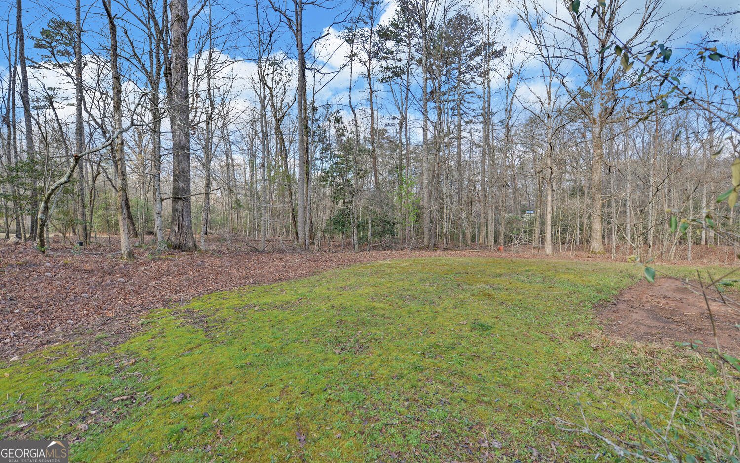 24 Copper Mill Road Dahlonega - Photo 35