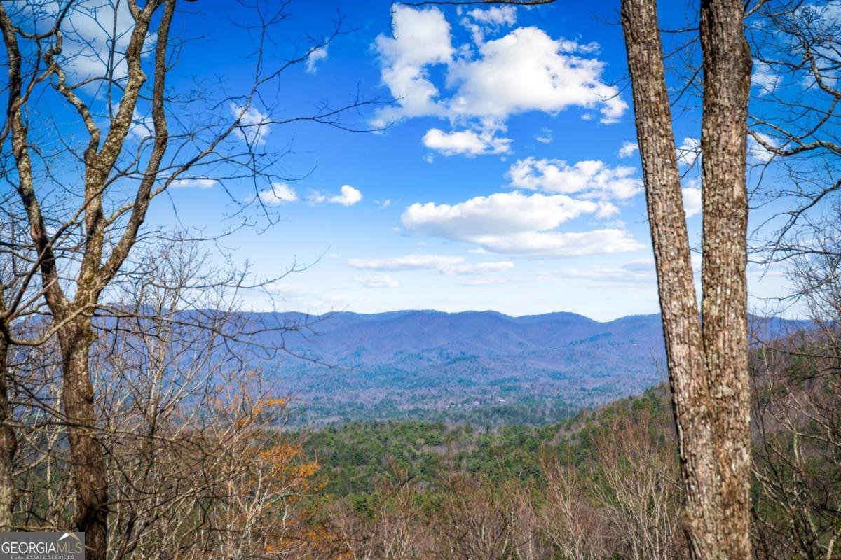 240 Mountain View Court Ellijay - Photo 9