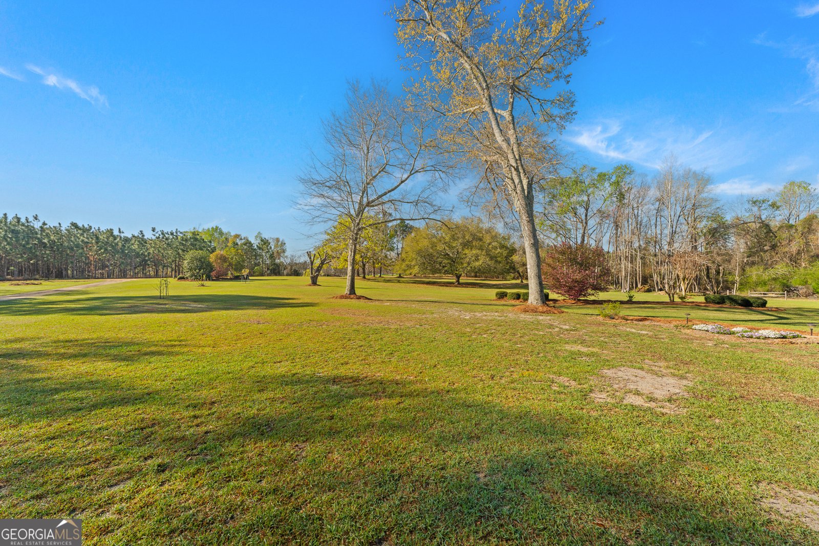 1569 Pond View Road Metter - Photo 6