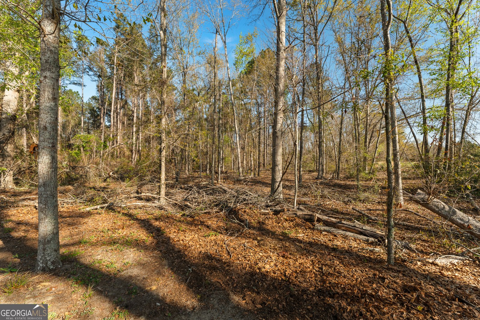 1569 Pond View Road Metter - Photo 65