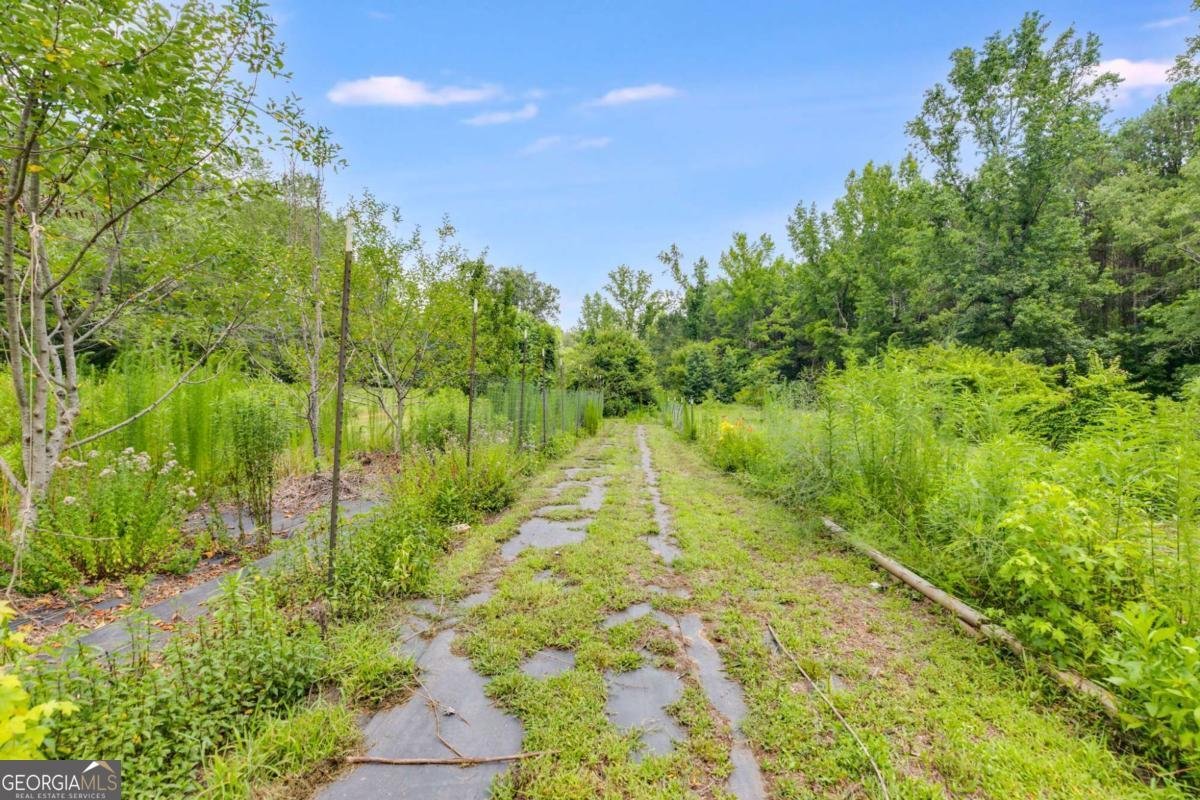 220 Gamble Drive Carrollton - Photo 45