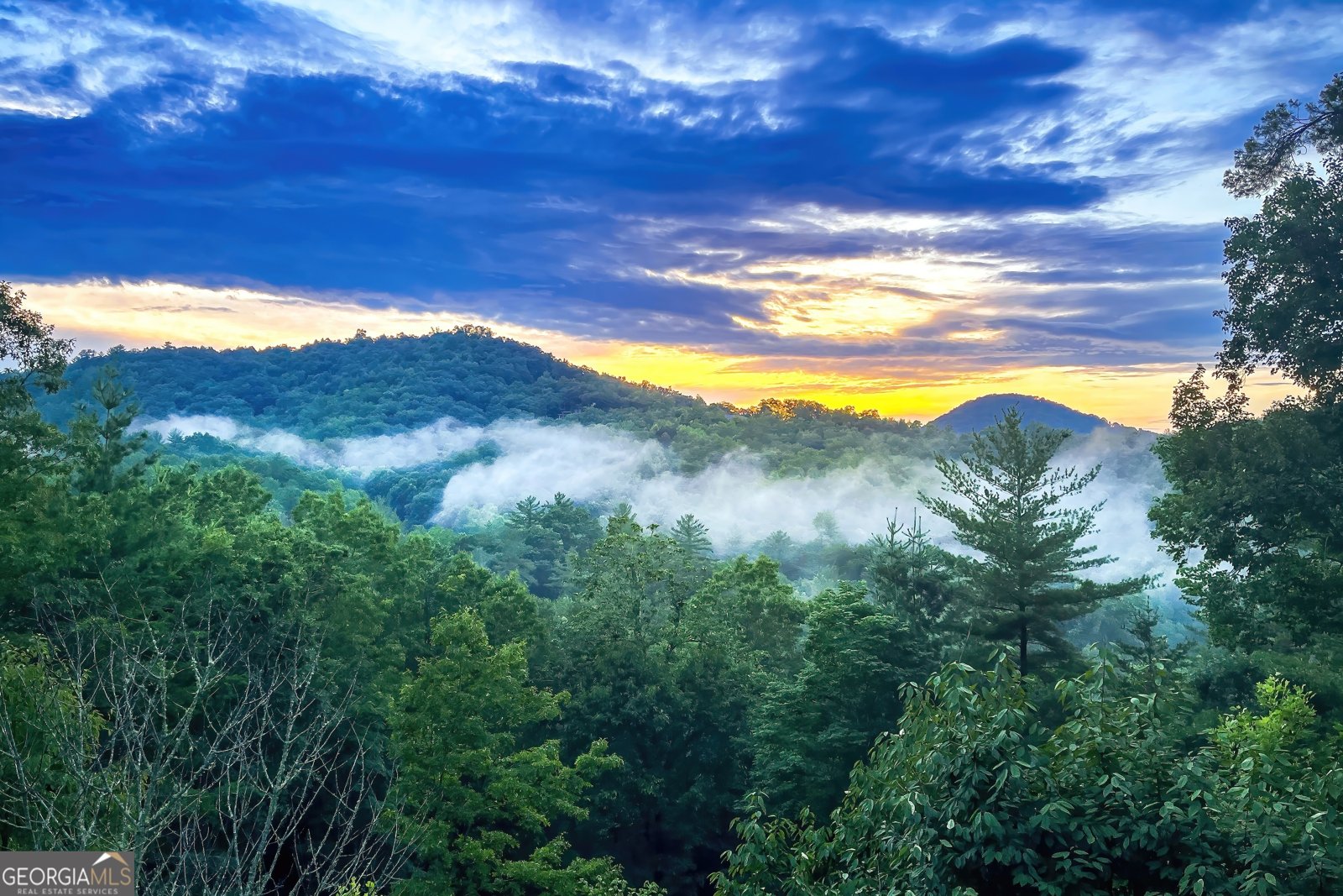 204 Fortenberry Creek Road Blairsville - Photo 10