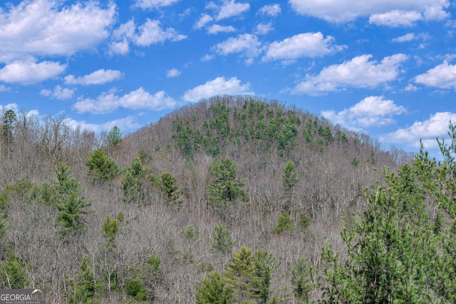 204 Fortenberry Creek Road Blairsville - Photo 20