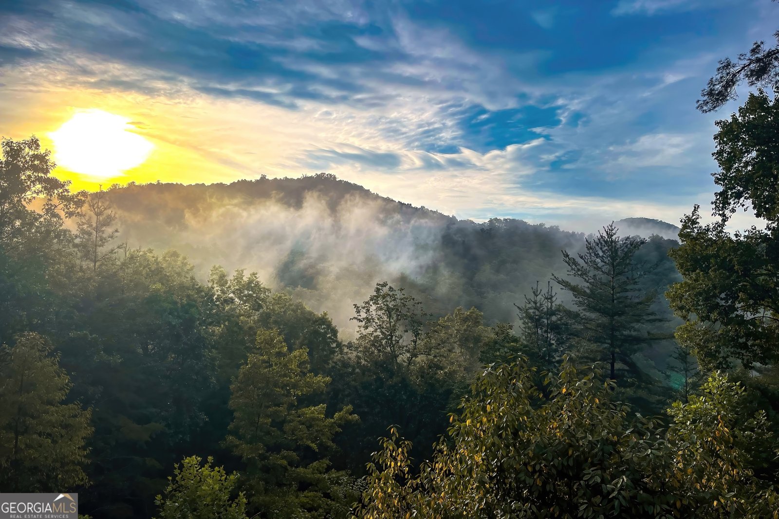 204 Fortenberry Creek Road Blairsville - Photo 53