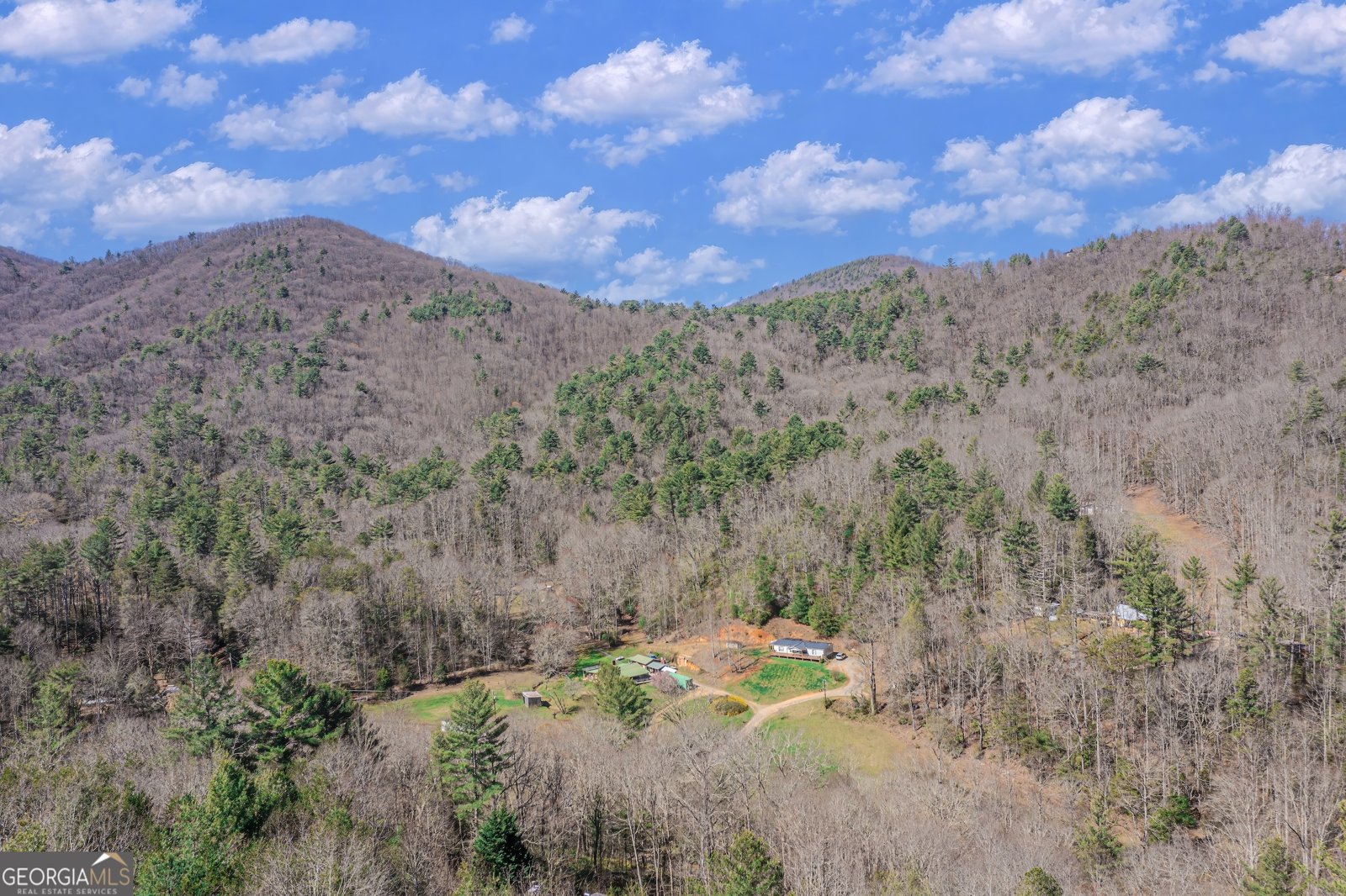 204 Fortenberry Creek Road Blairsville - Photo 54