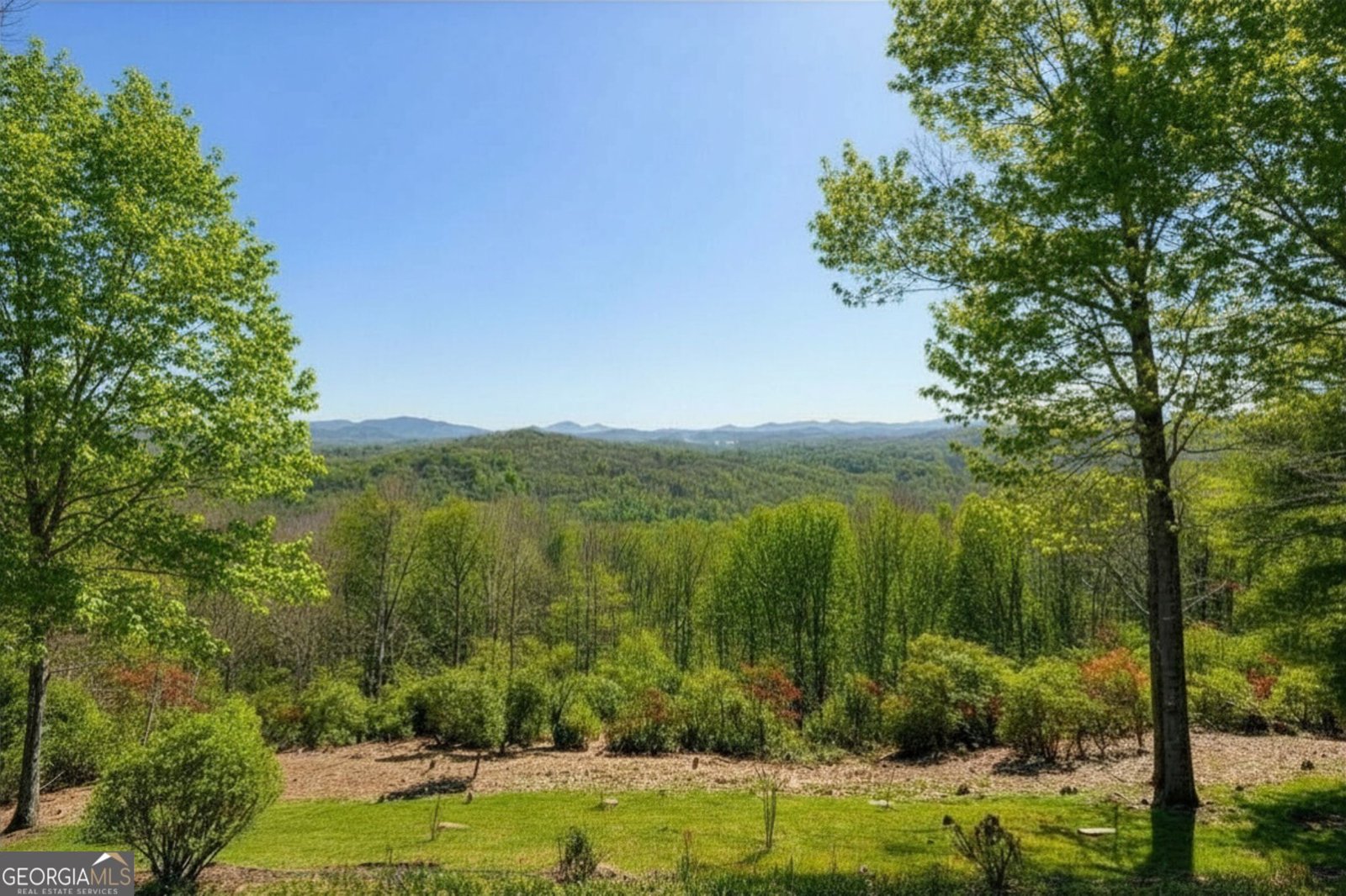 503 Ranch Mountain Drive Dahlonega - Photo 20
