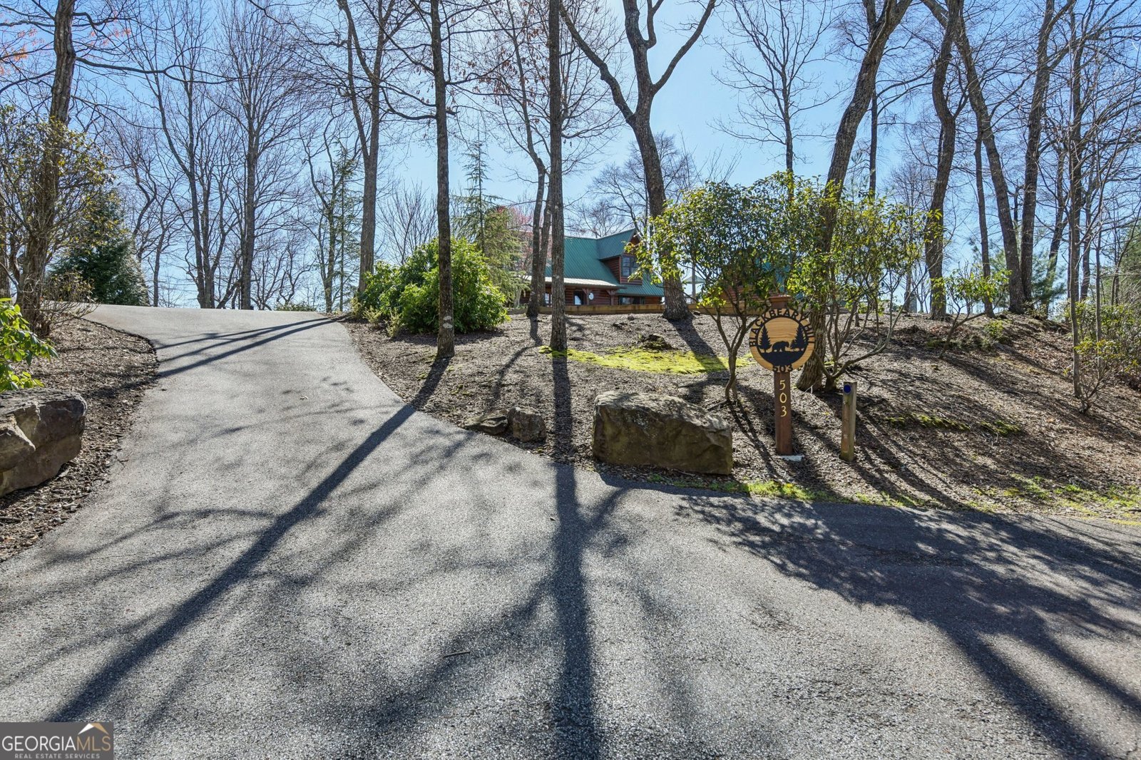 503 Ranch Mountain Drive Dahlonega - Photo 76