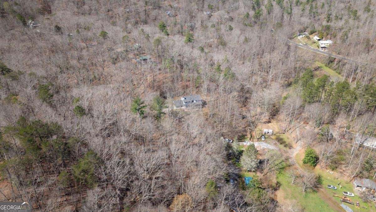 298 J W Nix Road Dahlonega - Photo 36