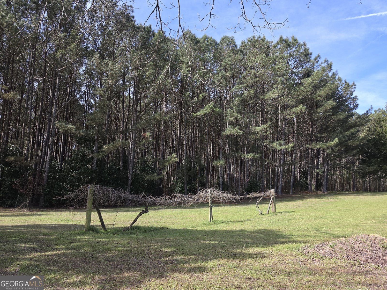 1166 B Street Pine Mountain Valley - Photo 37