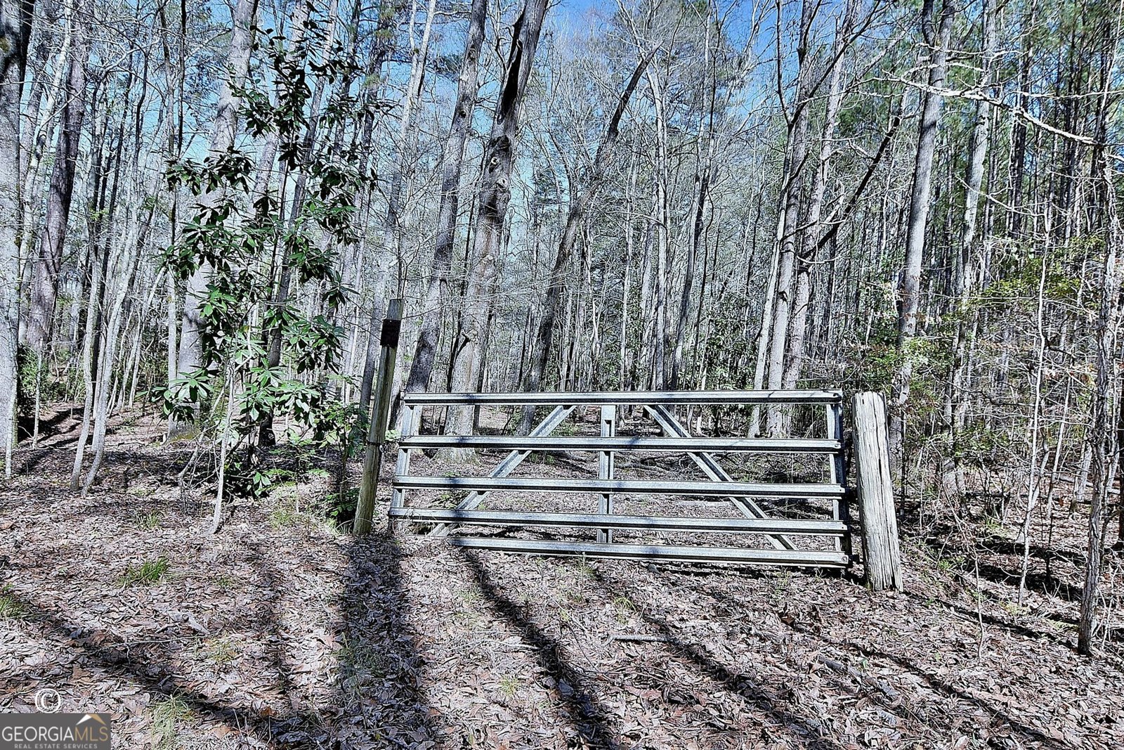 1166 B Street Pine Mountain Valley - Photo 40