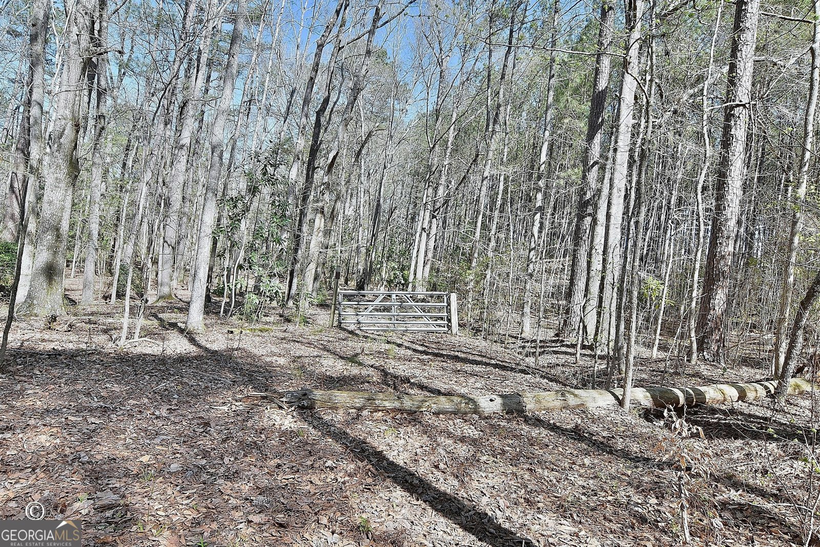 1166 B Street Pine Mountain Valley - Photo 41