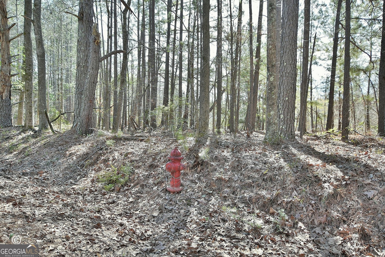 1166 B Street Pine Mountain Valley - Photo 43