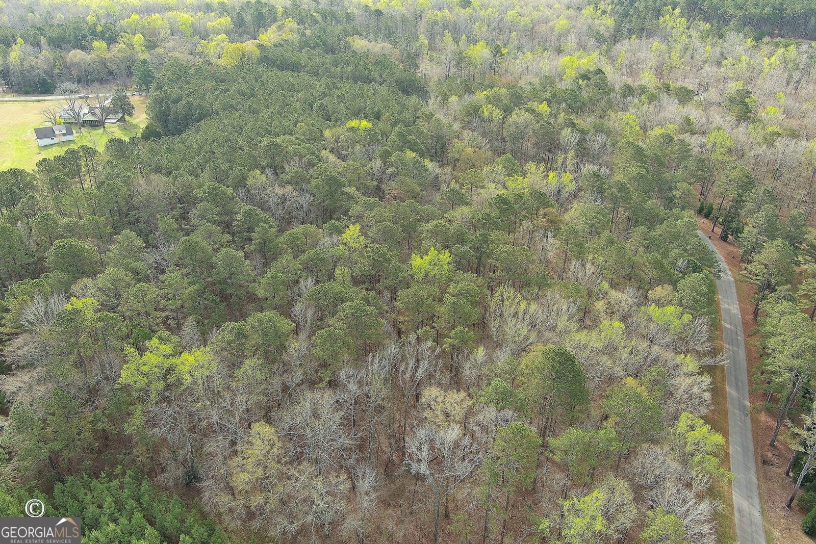 1166 B Street Pine Mountain Valley - Photo 50