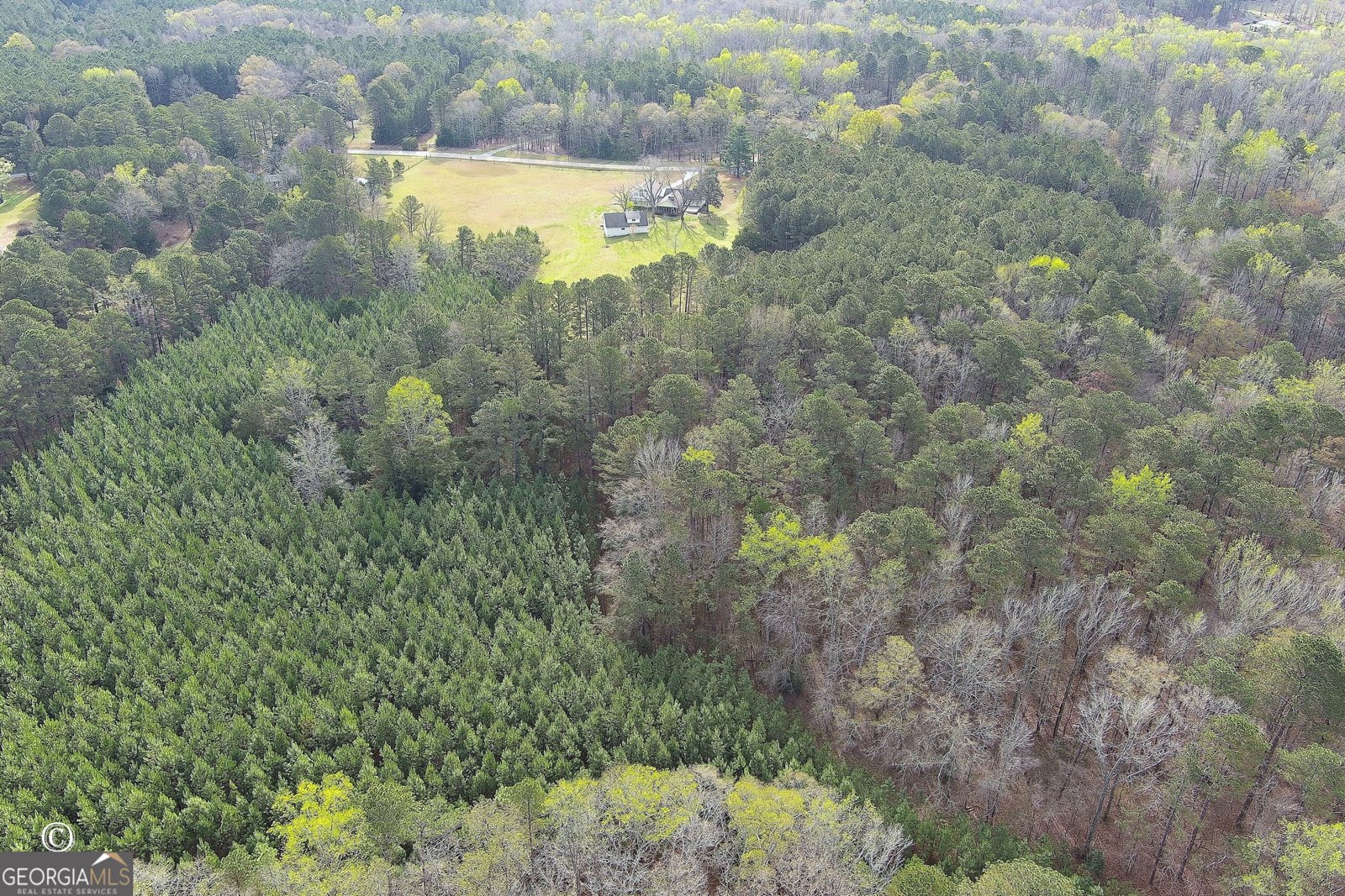 1166 B Street Pine Mountain Valley - Photo 51