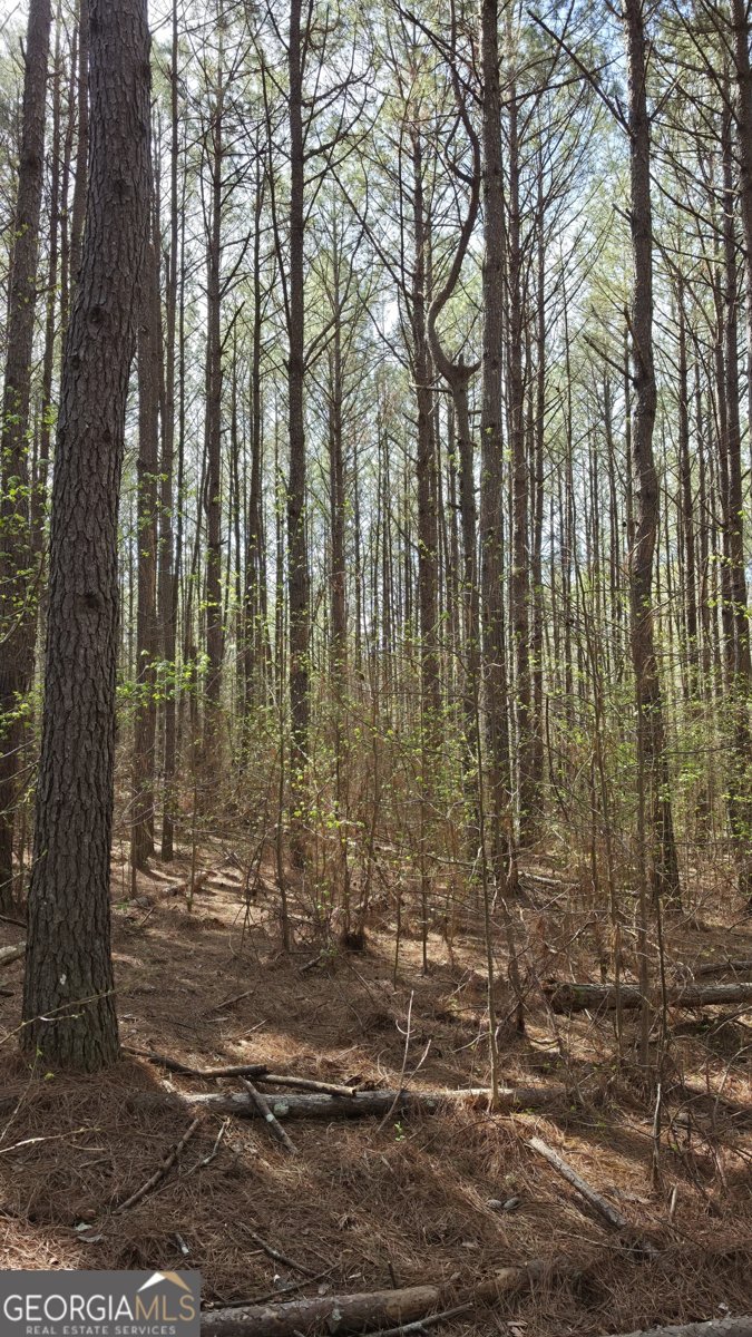 1166 B Street Pine Mountain Valley - Photo 54