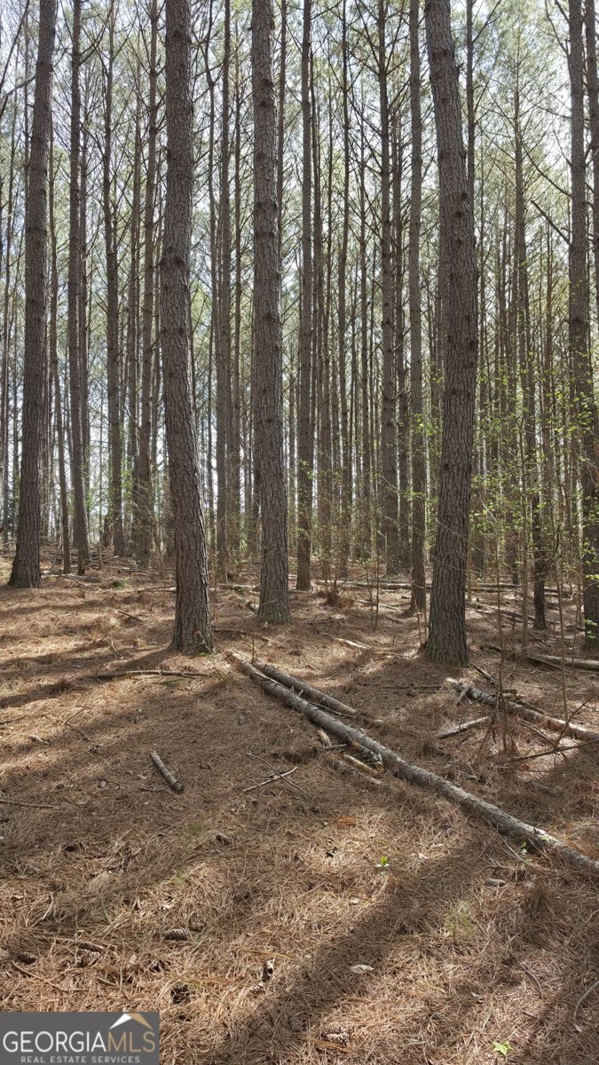 1166 B Street Pine Mountain Valley - Photo 55