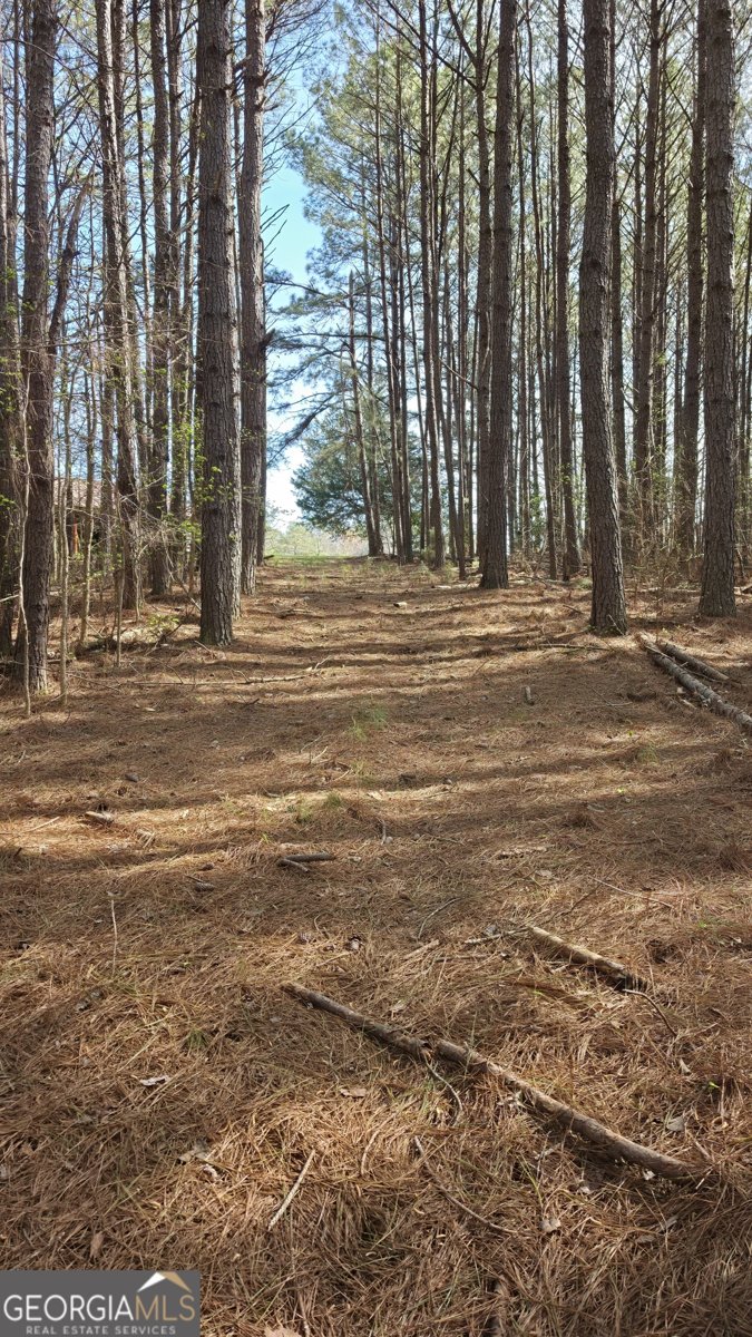 1166 B Street Pine Mountain Valley - Photo 56