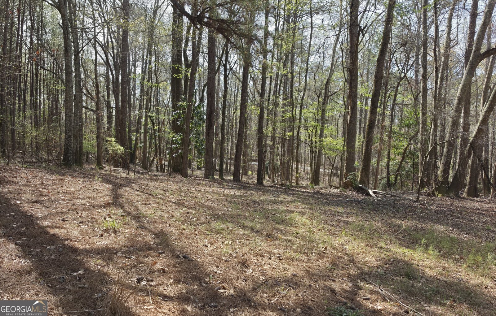 1166 B Street Pine Mountain Valley - Photo 57