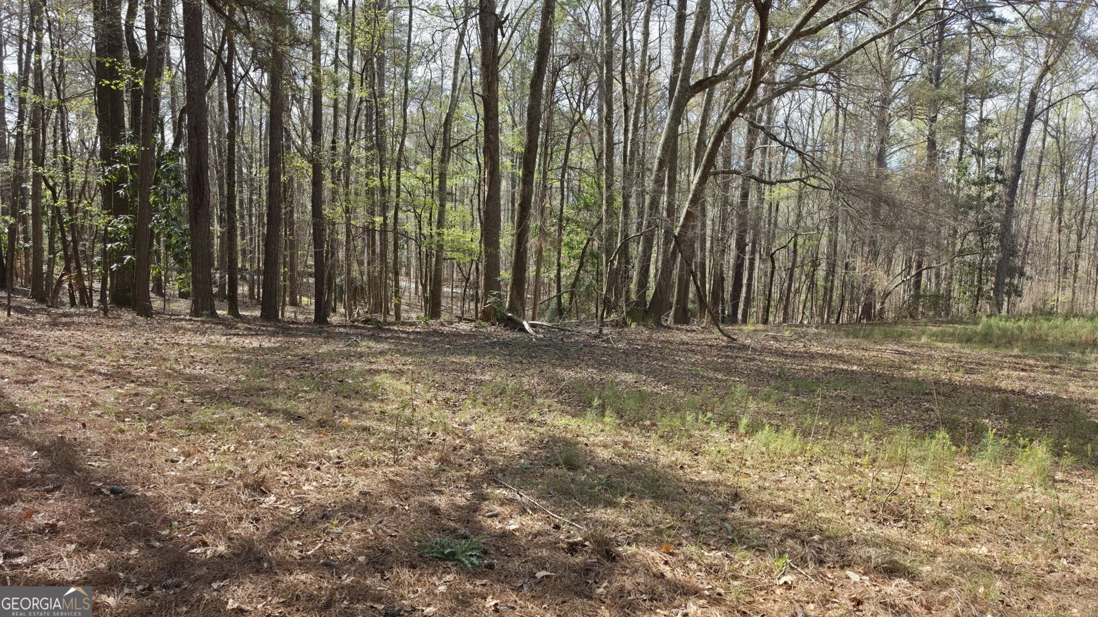 1166 B Street Pine Mountain Valley - Photo 58