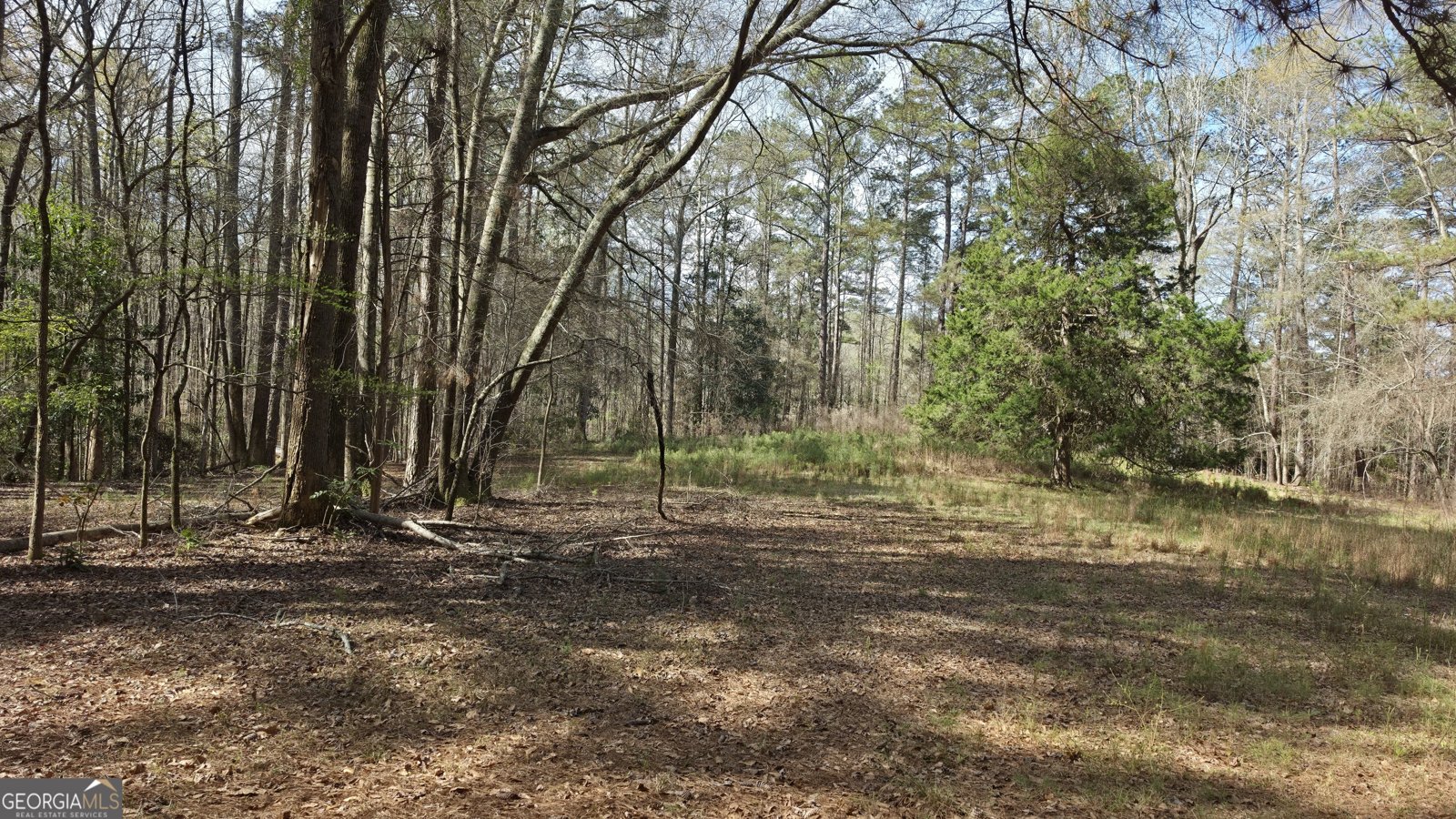 1166 B Street Pine Mountain Valley - Photo 61