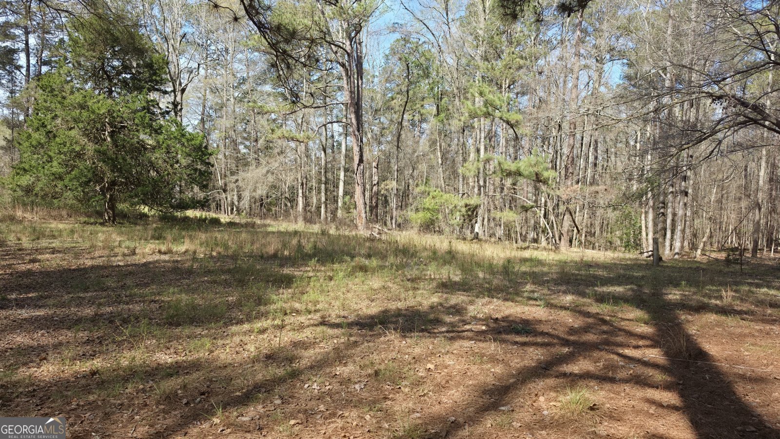 1166 B Street Pine Mountain Valley - Photo 63