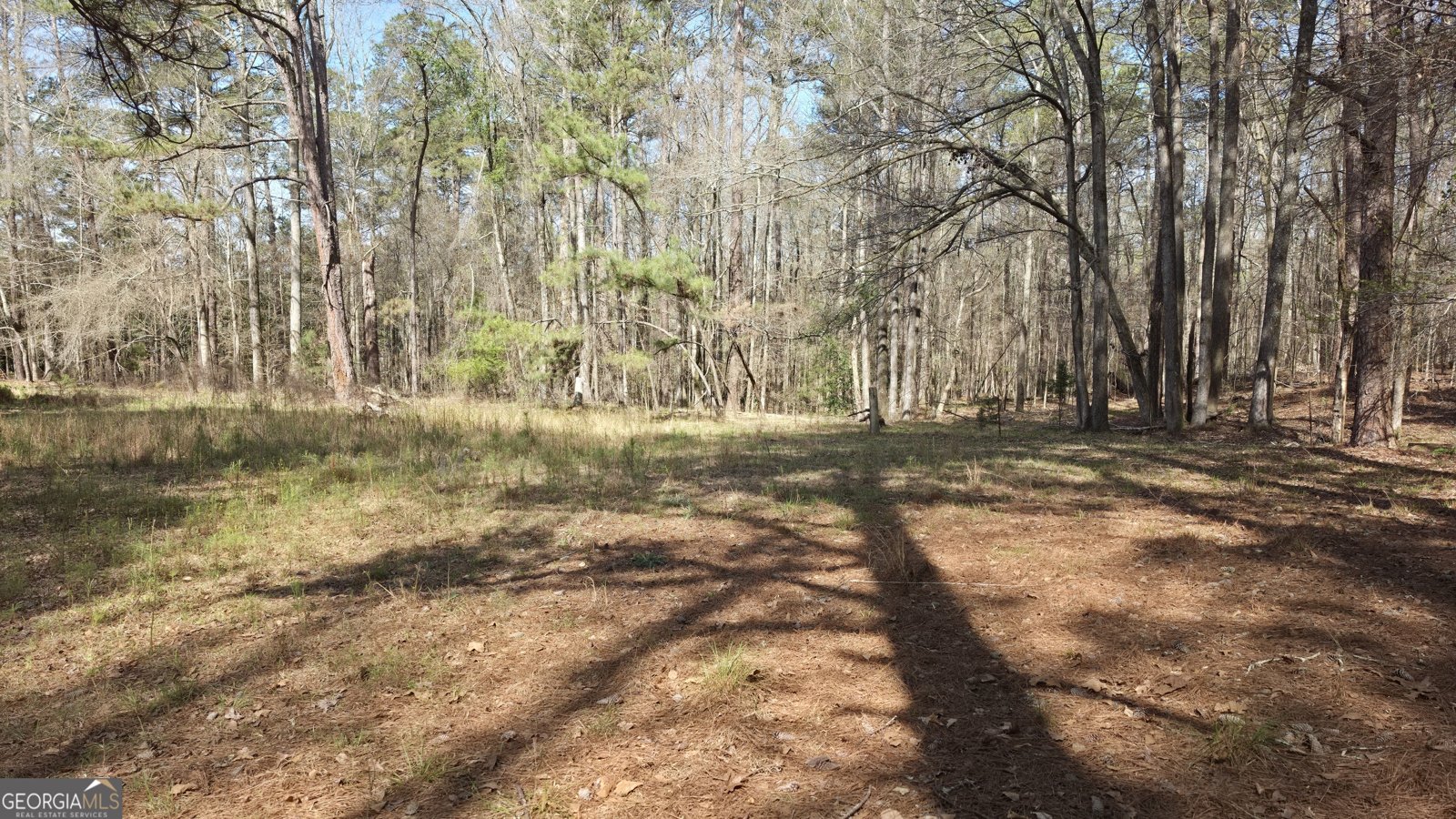 1166 B Street Pine Mountain Valley - Photo 64