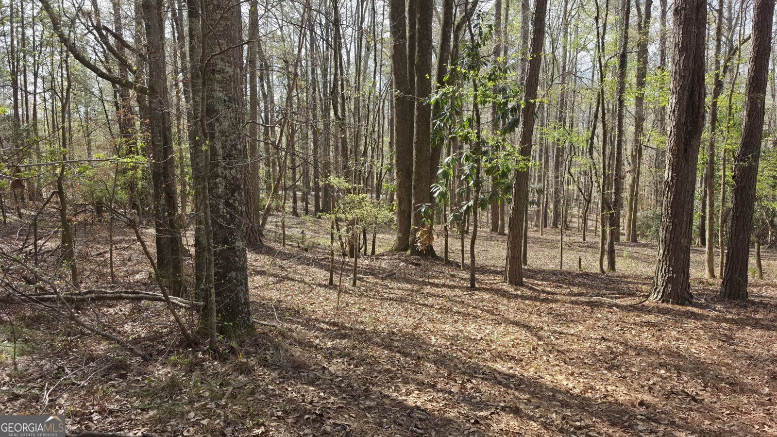 1166 B Street Pine Mountain Valley - Photo 65