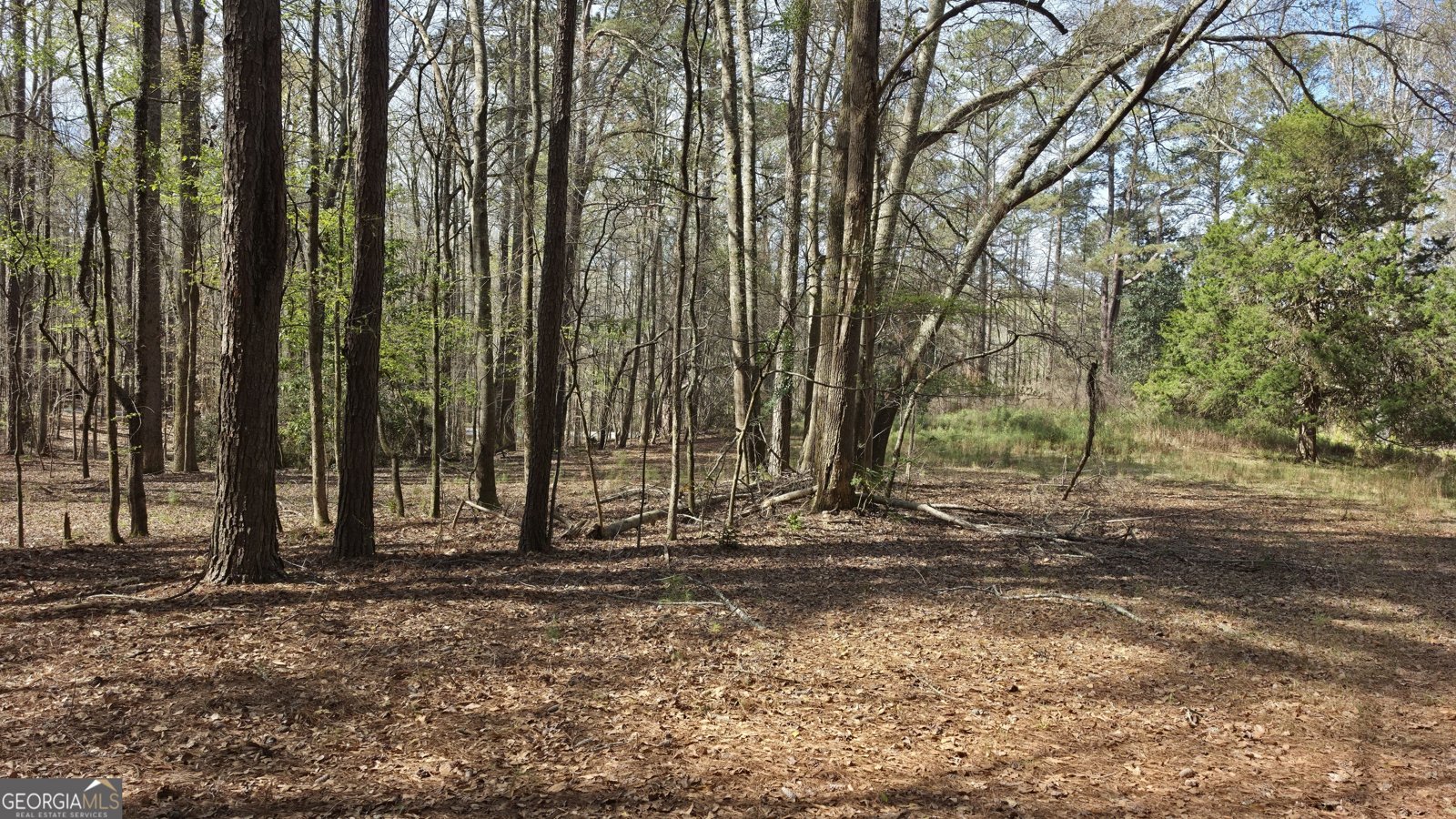 1166 B Street Pine Mountain Valley - Photo 67