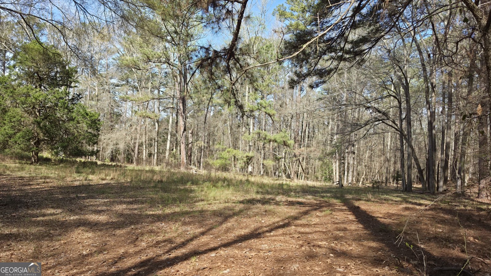 1166 B Street Pine Mountain Valley - Photo 69