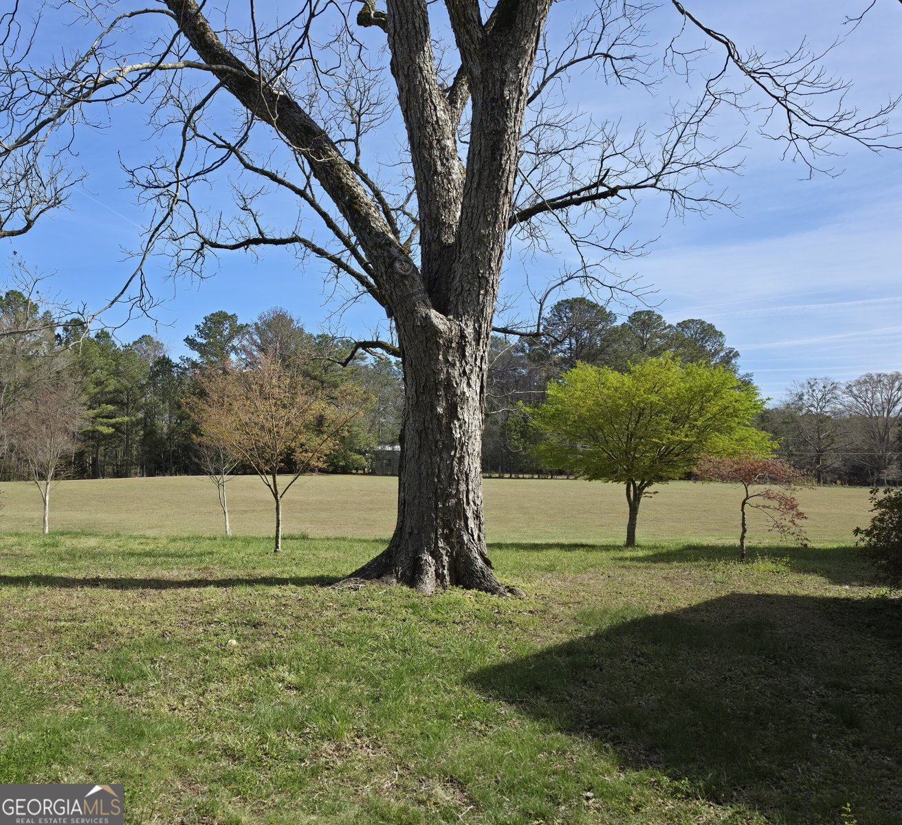 1166 B Street Pine Mountain Valley - Photo 70