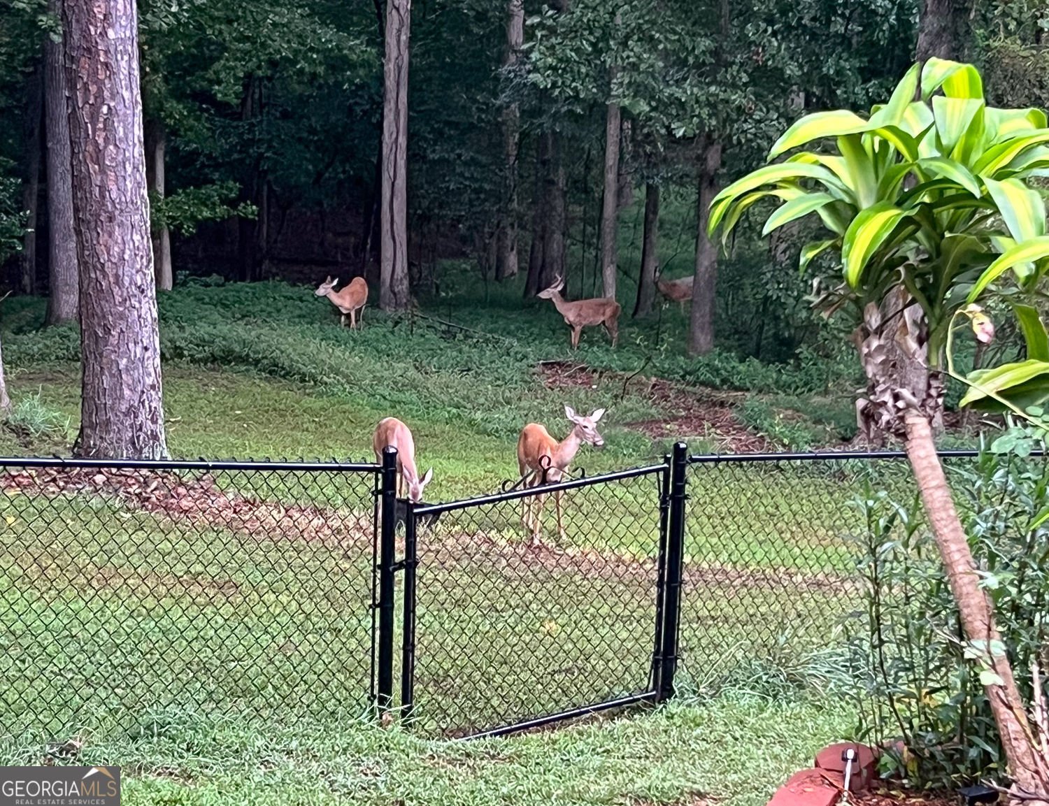 1377 Red Fox Run Lilburn - Photo 56