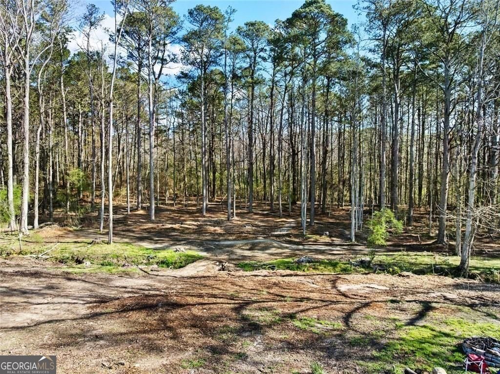 2950 Camp Mitchell Road Loganville - Photo 53