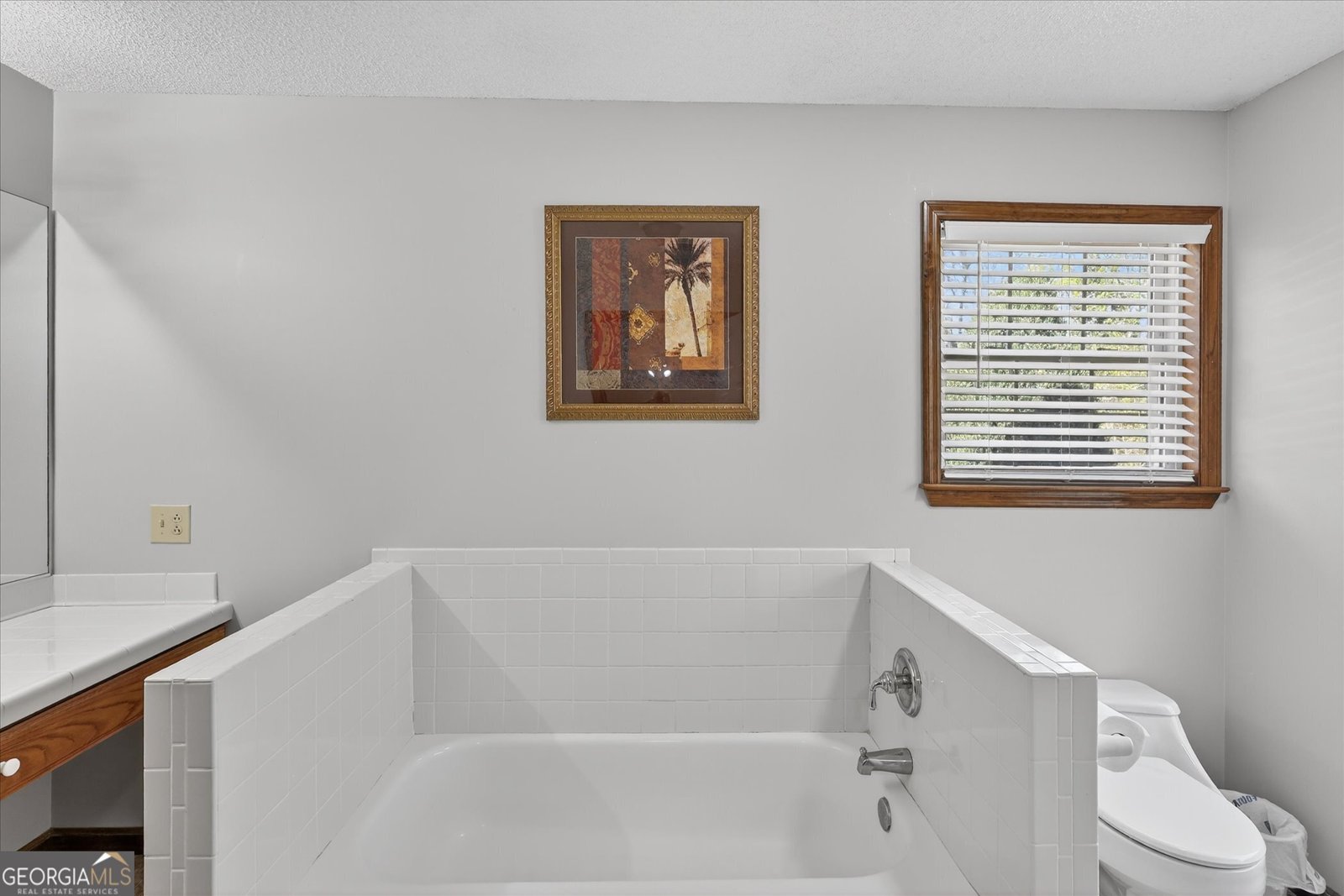 241 Waters Station Road Sylvania - Photo 17