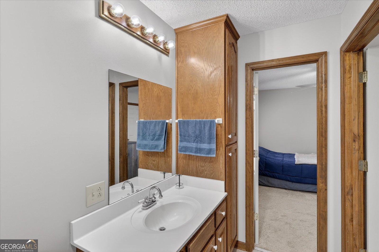 241 Waters Station Road Sylvania - Photo 25