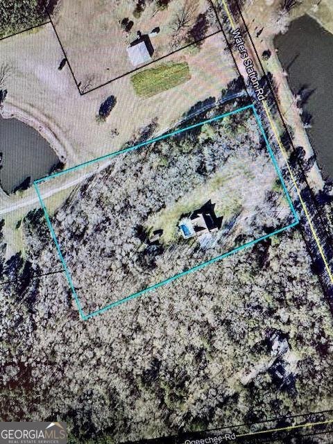 241 Waters Station Road Sylvania - Photo 49