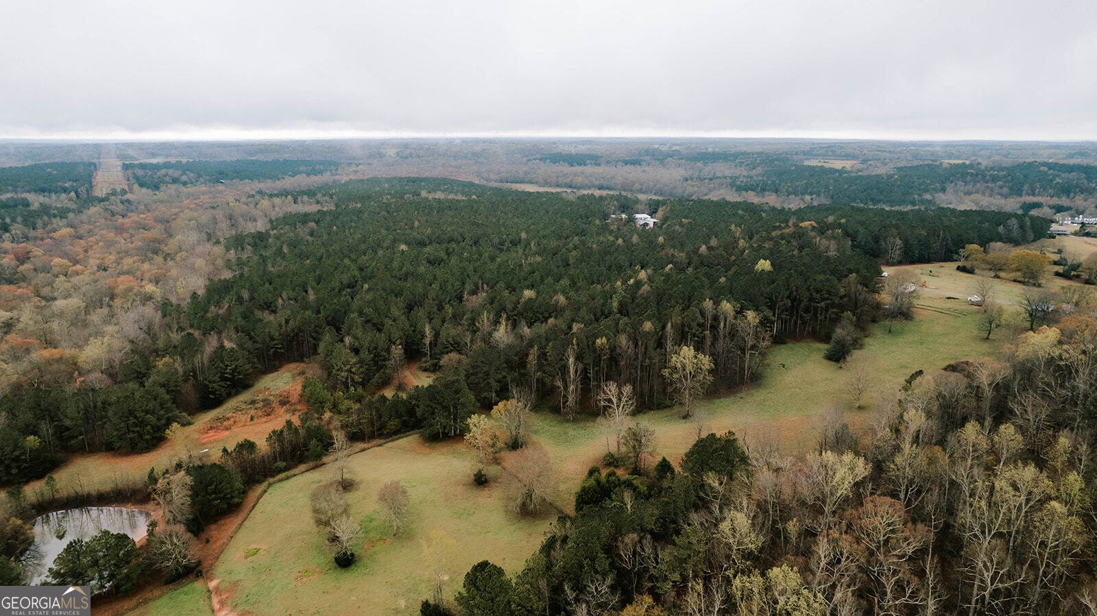 2190 Reese Road Rutledge - Photo 49