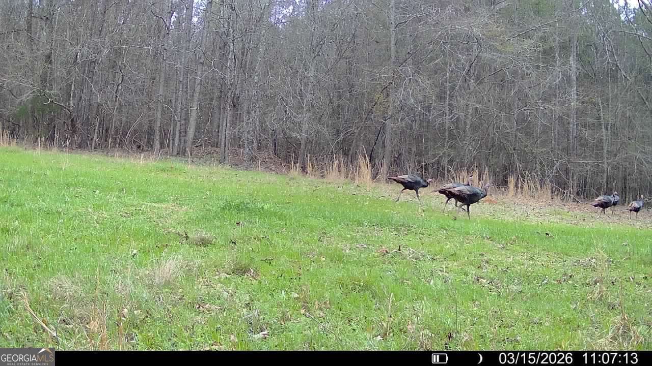 2190 Reese Road Rutledge - Photo 54