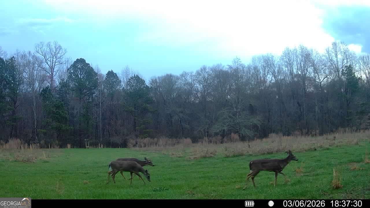2190 Reese Road Rutledge - Photo 55